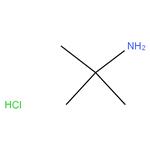 2-methylpropan-2-amine hydrochloride