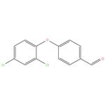 4-(2,4-DI CHLORO PHENOXY)BENZALDEHYDE