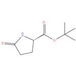 tert-Butyl 5-oxo-L-prolinate,97%