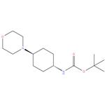 tert-butyl (1r,4r)-4-morpholinocyclohexylcarbamate