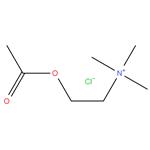 Acetylcholine Chloride