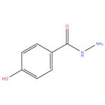 4-Hydroxybenzhydrazide-98%