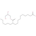 CAPRYLIC / CAPRIC TRIGLYCERIDE