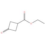 Ethyl 3-oxocyclobutanecarboxylate, 95%