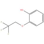 2-(2,2,2-Trifluoroethoxy)phenol