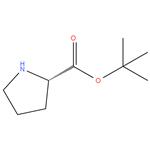 Tert-Butyl L-prolinate