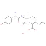 Cefprozil monohydrate