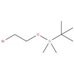 2-Bromoethoxy-t-butyldimethylsilane