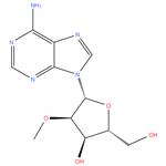 2'-O-Methyladenosine