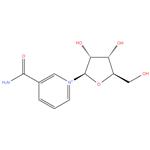 Nicotinamide riboside (NR)