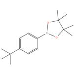 2-(4-(tert-Butyl)phenyl)-4,4,5,5-tetramethyl-1,3,2-dioxaborolane