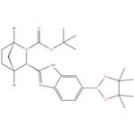 (1R,3S,4S)-3-[6-(4,4,5,5-Tetramethyl-1,3,2-dioxaborolan-2-yl)-1H-benzimidazol-2-yl]-2-azabicyclo[2.2.1]heptane-2-carboxylic acid 1,1-dimethylethyl ester