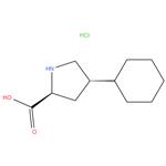 Trans-4-cyclohexyl-L-Proline hydrochloride