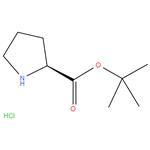 tert-Butyl L-prolinate  hydrochloride