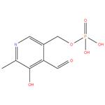 Pyridoxal phosphate, 98%