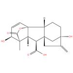 Gibberellic acid