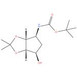 2-Methyl-2-propanyl [(3aS,4R,6S,6aR)-6-hydroxy-2,2-dimethyltetrahydro-3aH-cyclopenta[d][1,3]dioxol-4-yl]carbamate