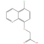 Cloquintocet