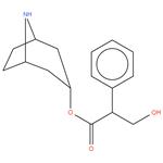 Atropine EP Impurity B
(1R,3r,5S)-8-azabicyclo[3.2.1]octan-3-yl 3-hydroxy-2- phenylpropanoate