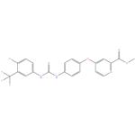 Sorafenib Methyl Ester