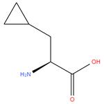 L-3-cyclopropylalanine