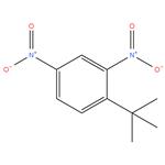 1-(tert-butyl)-2,4-dinitrobenzene