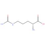 D-Citrulline, 98%