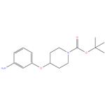 tert-butyl 4-(3-Aminophenoxy)piperidine-1-carboxylate