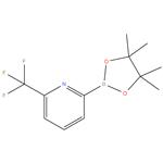 2-(4,4,5,5-tetramethyl-1,3,2-
dioxaborolan-2-yl)-6-
(trifluoromethyl)pyridine