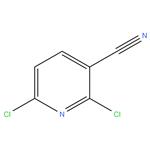 2,6-Dichloronicotinonitrile, 96% (Custo