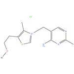 Thiamine