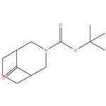 9-Oxo-3-aza-bicyclo[3.3.1]nonane-3-carboxylic acid tert-butyl ester