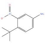 4-tert-butyl-3-nitro-phenylamine