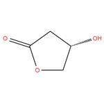 (S)-4-Hydroxy dihydrofuran-2(3H)-one