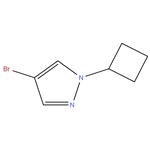 4-Bromo-1-cyclobutylpyrazole