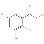 Chloramben-methyl