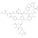 Vancomycin