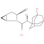 Saxagliptin monohydrate