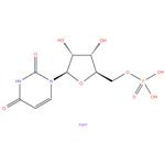 Uridine 5-Monophosphate Disodium Salt