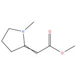 Methyl 2-(1-Methyl-2-pyrrolidylidene)acetate