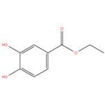 3,4-di hydroxy benzoic acid ethyl ester