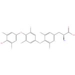 O-[4-(4-Hydroxy-3,5-diiodophenoxy)-3,5-diiodophenyl]-3,5-diiodo-L-tyrosine