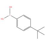 4-TERT BUTYL PHENYL BORONIC ACID