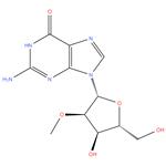 2'-O-Methylguanosine