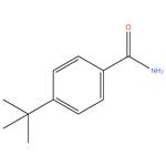 4-tert-Butylbenzamide-98%