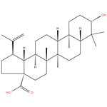 Betulinic Acid