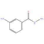 3-Aminobenzhydrazide-97%