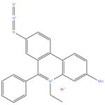 Ethidium bromide monoazide