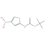 ( 5 - ( ( tert - butoxycarbonyl ) amino ) thiophen - 3 - yl ) boronic acid