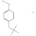 4-(trifluoromethoxy)phenyl)hydrazine hydrochloride